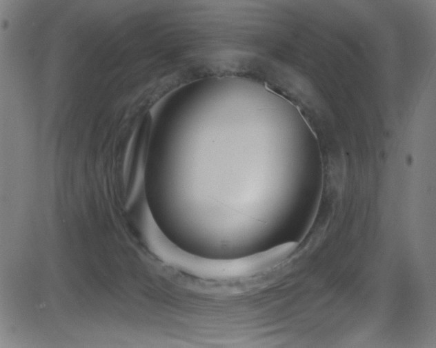 X0000081400029200701111554