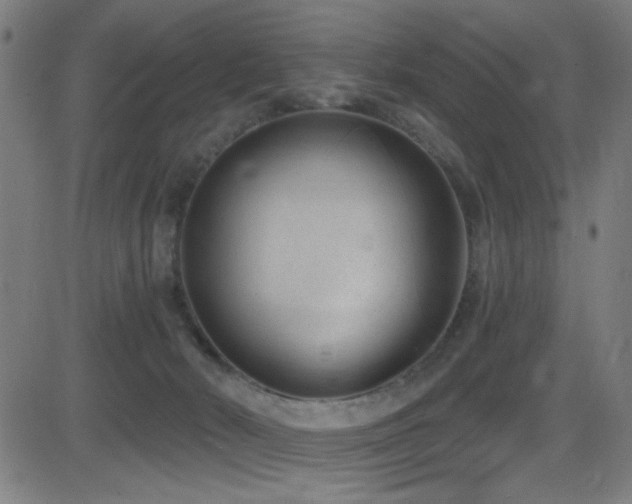 X0000081400030200701111554