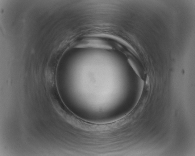 X0000081400031200701111554