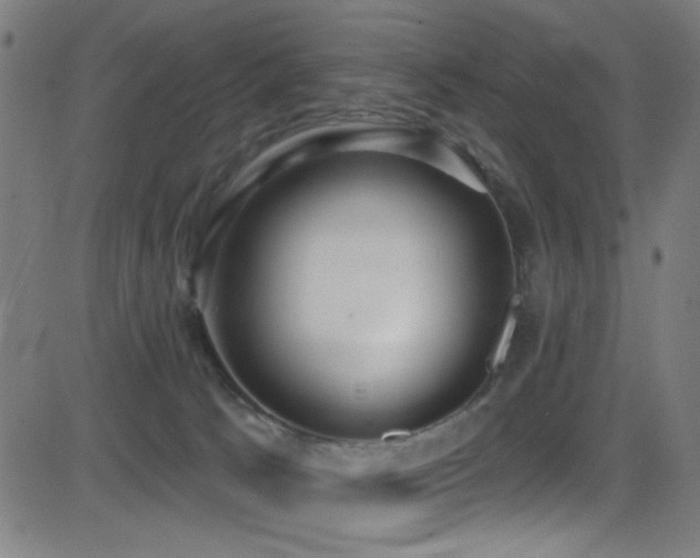 X0000081400033200701111554