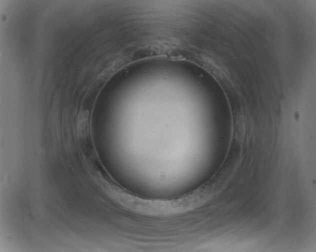X0000081400034200701111554