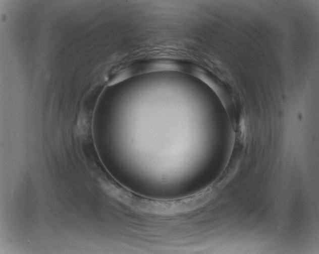 X0000081400037200701111554