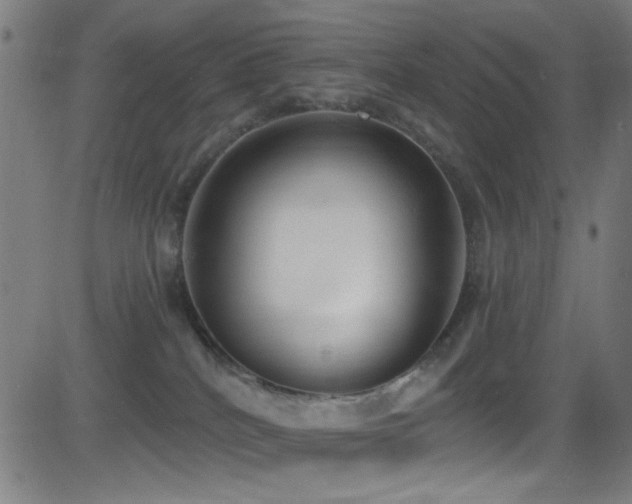 X0000081400040200701111554
