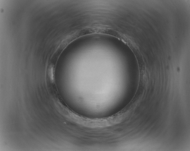 X0000081400042200701111554