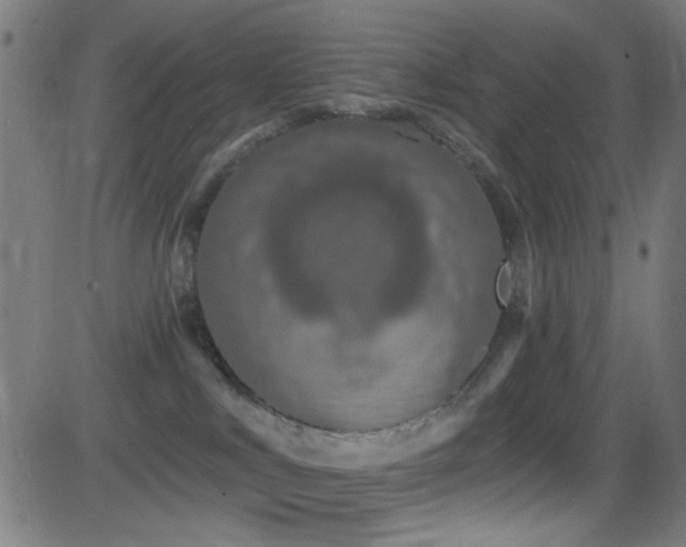 X0000081400043200701111554