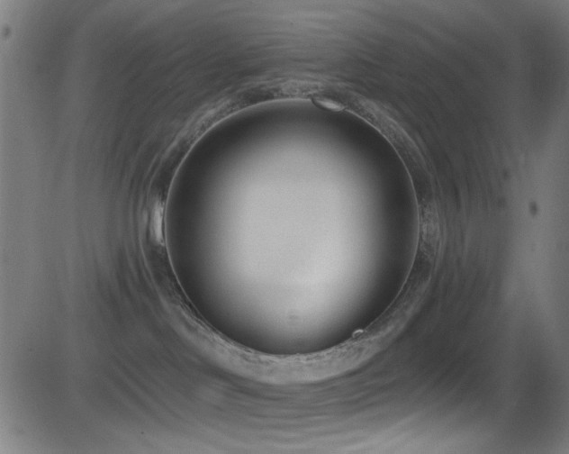 X0000081400046200701111554
