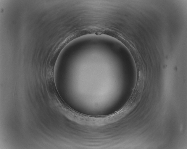 X0000081400048200701111554
