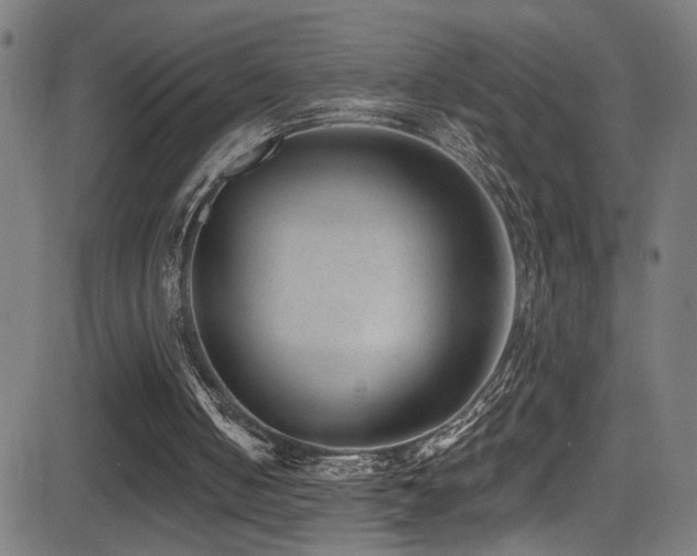 X0000081400050200701111553
