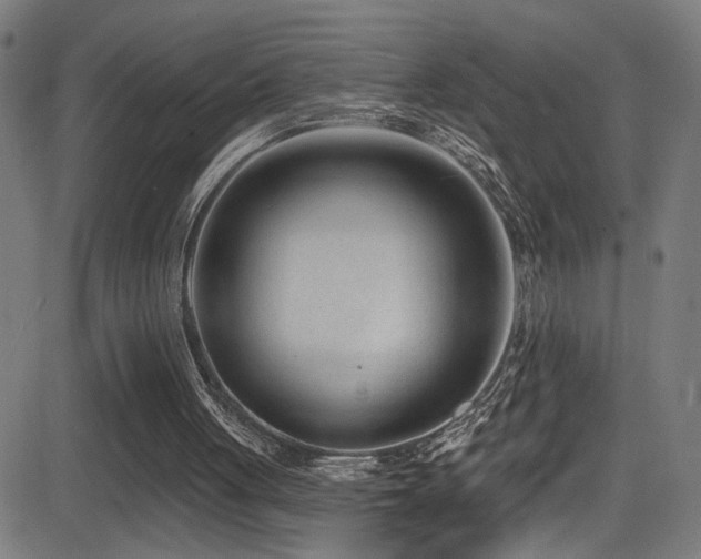 X0000081400051200701111553