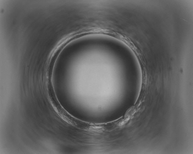 X0000081400055200701111553