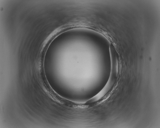 X0000081400056200701111553