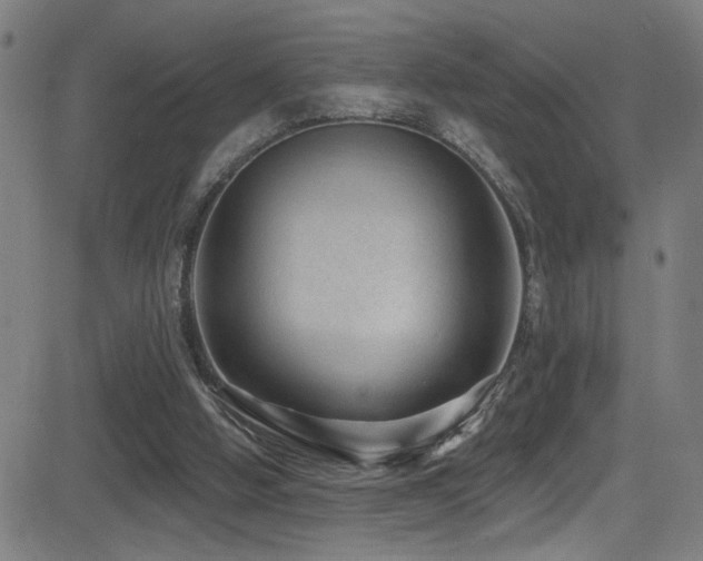 X0000081400058200701111553