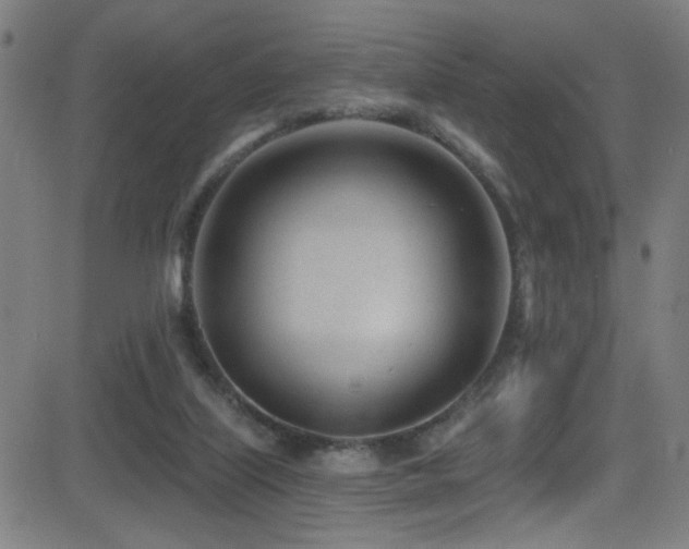 X0000081400067200701111553