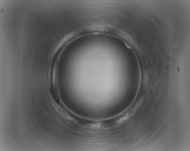 X0000081400068200701111553