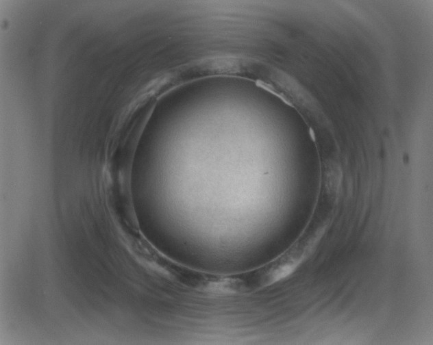 X0000081400072200701111553
