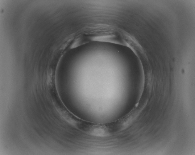 X0000081400073200701111553