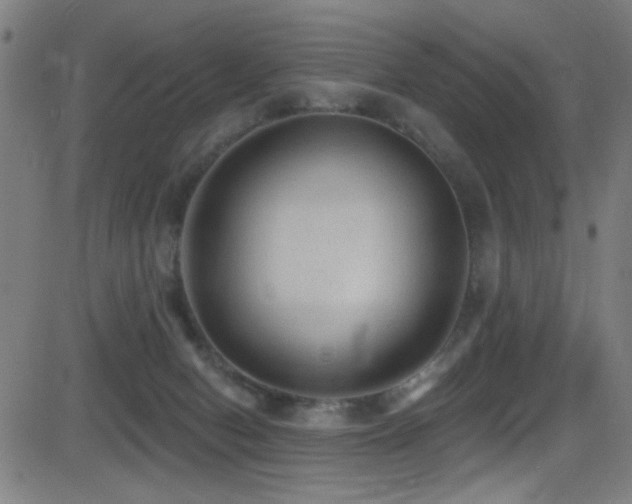 X0000081400078200701111554