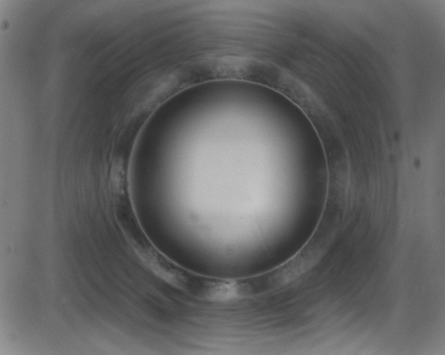 X0000081400083200701111554