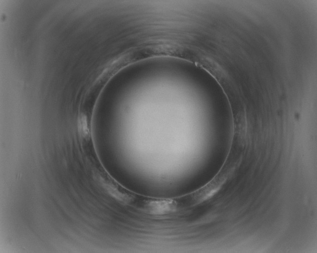 X0000081400089200701111554