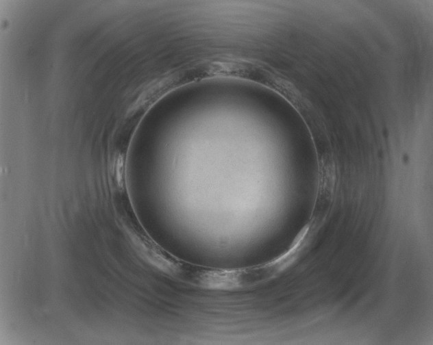 X0000081400094200701111554
