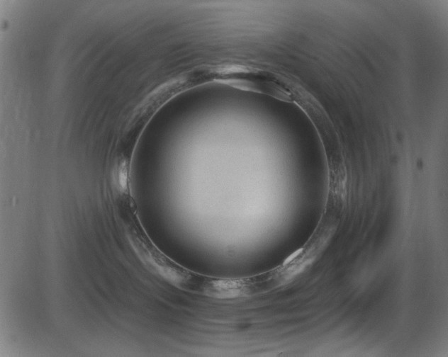 X0000081400095200701111554
