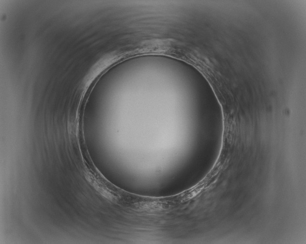 X0000081400100200701111553