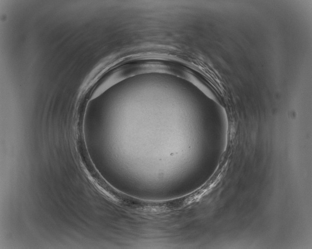 X0000081400101200701111553