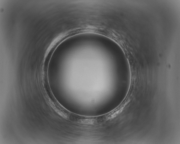 X0000081400102200701111553