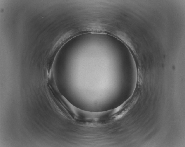 X0000081400109200701111553