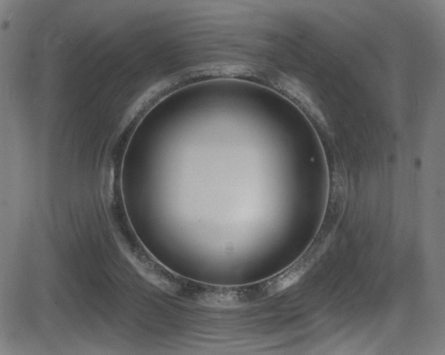 X0000081400110200701111553