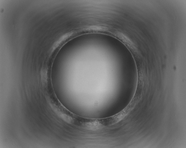 X0000081400112200701111553