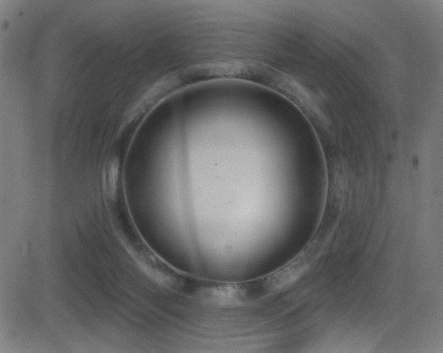 X0000081400118200701111553