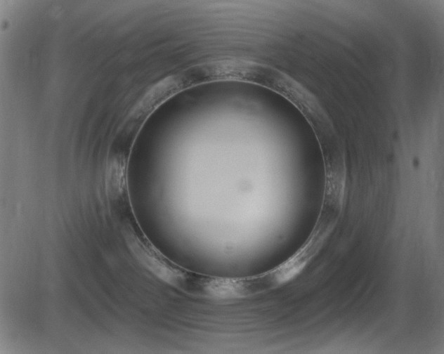 X0000081400142200701111552