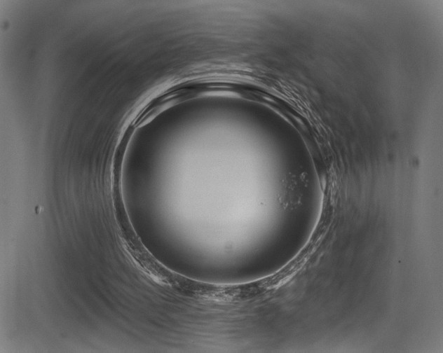 X0000081400148200701111552