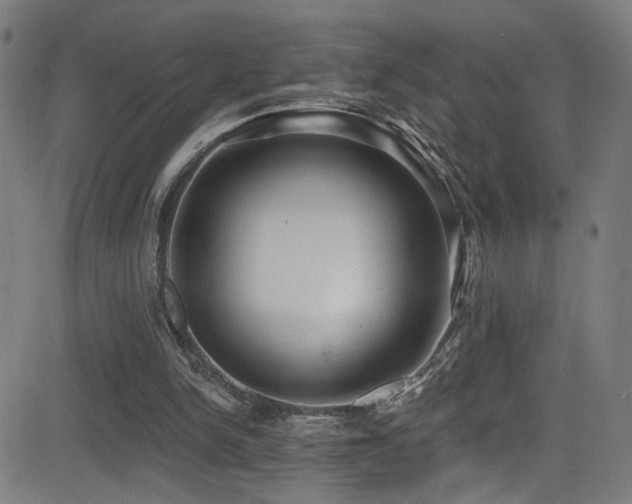 X0000081400150200701111552