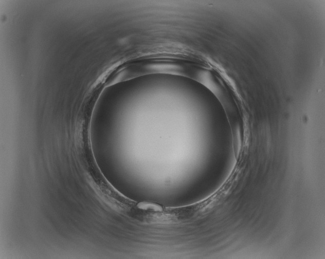 X0000081400154200701111552