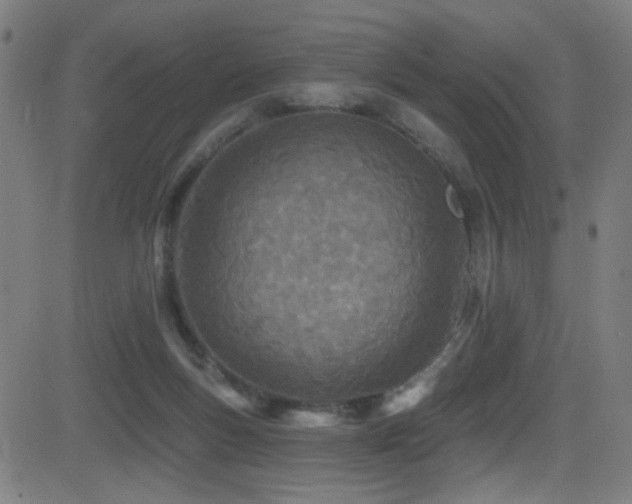X0000081400167200701111552