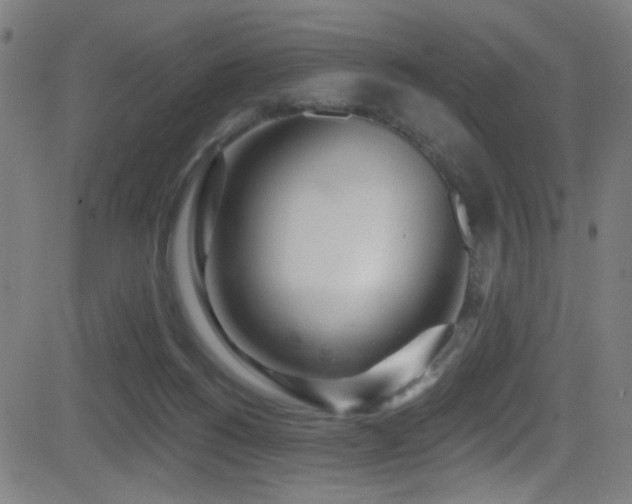 X0000081400168200701111552