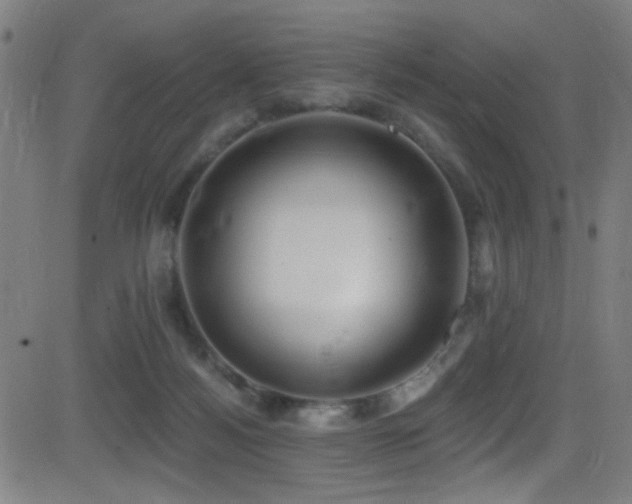 X0000081400172200701111552