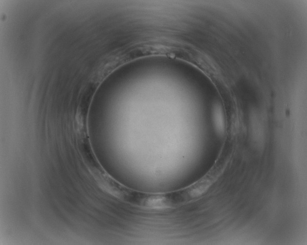 X0000081400173200701111552