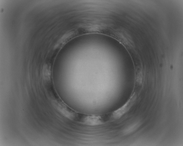 X0000081400179200701111552