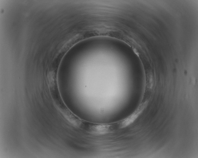 X0000081400184200701111552