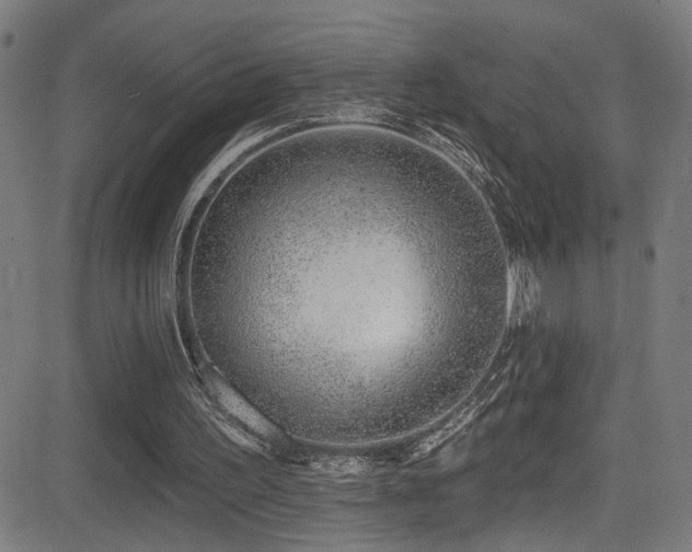 X0000081400195200701111551
