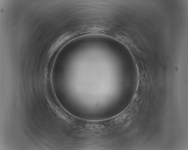 X0000081400242200701111550