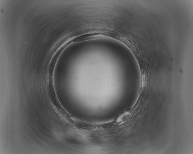 X0000081400243200701111550