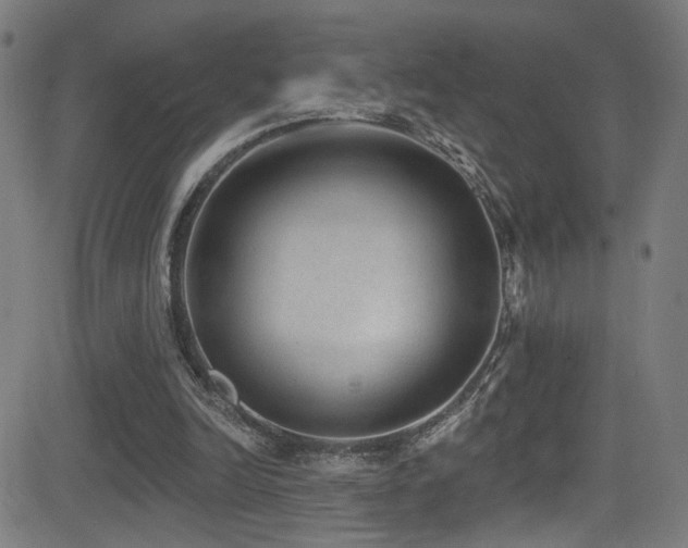 X0000081400246200701111550