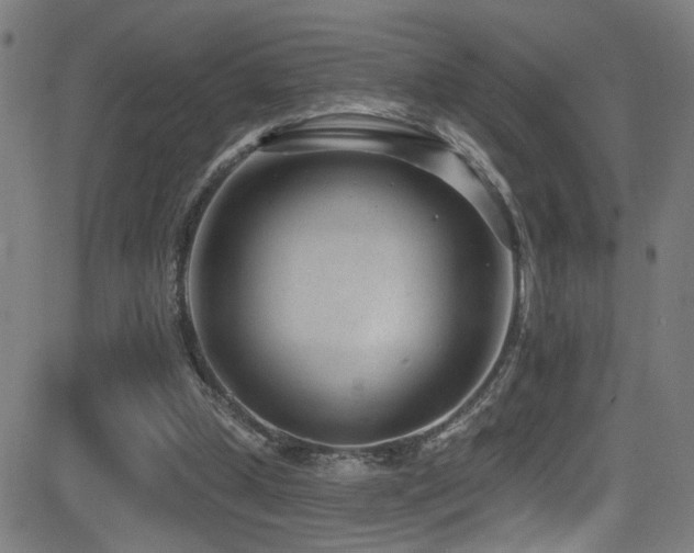 X0000081400249200701111550