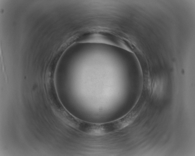 X0000081400263200701111550