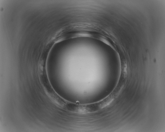 X0000081400264200701111550