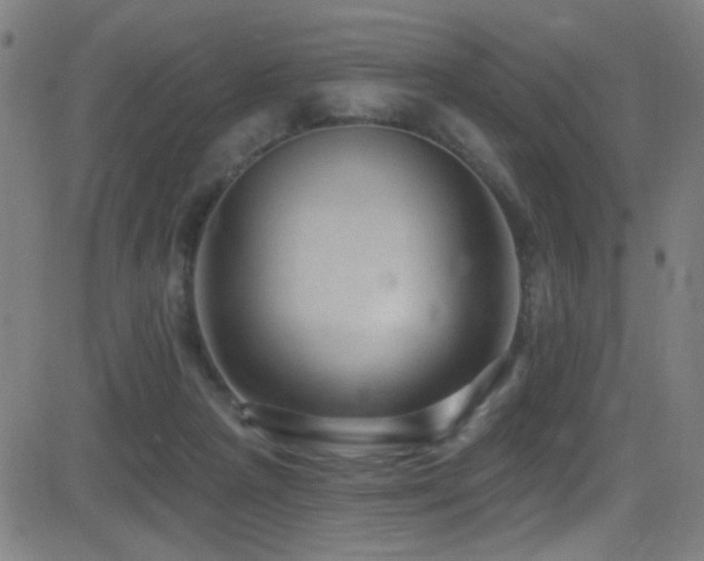 X0000081400265200701111550